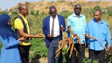 حقار: اهمية تطوير الزراعة بأحترافية ومعرفة تساهم في زيادة الانتاج