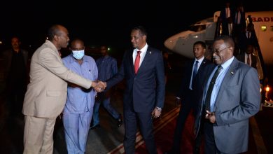 دقلو يختتم زيارة ناجحة إلى تشاد