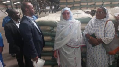 وزيرة الصناعة تقف علي سير موسم الإنتاج