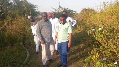 دعم المزارعين بسنار لاستخدام الطاقة الشمسية للري