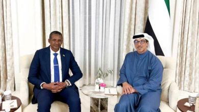 دقلو يلتقي الشيخ منصور بن زايد