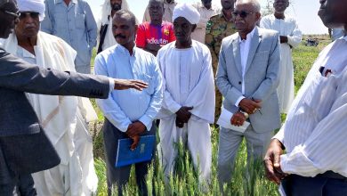 والي النيل الابيض يتفقد مشروع الشوال الزراعي