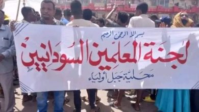 إضراب المعلمين ثورة القلم