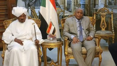 ودعه بالقاهرة يؤكد دعمهم للقوات المسلحة