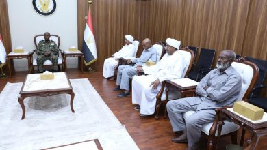 البرهان:سنقضي على التمرد وتحقيق الاستقرار