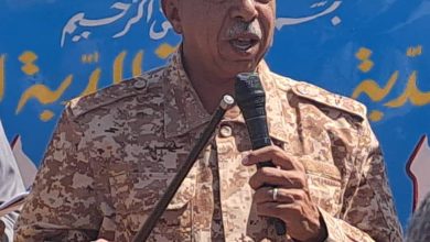 المقاومة الشعبية بالدبة تحرر شاحنتين حاولت المليشيا نهبهما