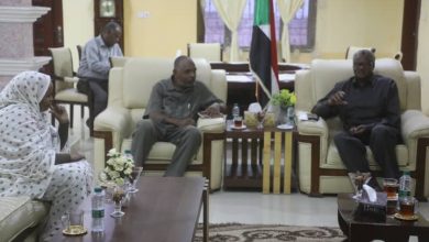 انتهاء تنفيذ المزلقانات بطريق القضارف قلع النحل