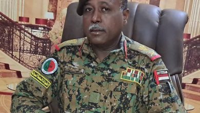 القوات المسلحة تكشف معلومات جديدة حول عمليات استسلام للتمرد