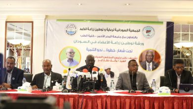 عقار: البلاد علي أعتاب نهاية الحرب